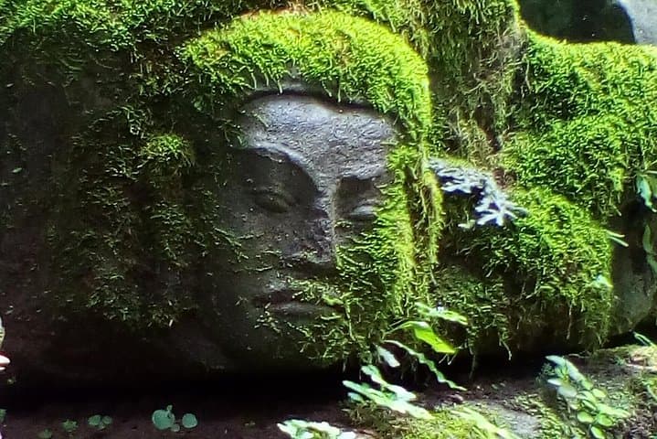 private-3-day-angkor-wat-jungle-temple-tour-siem-reap photo 5