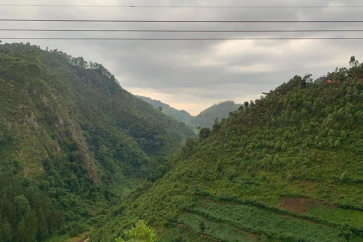 6-Day Uganda Gorilla Trek, Sabyinyo Hike & Lake Bunyonyi Homestay photo 2