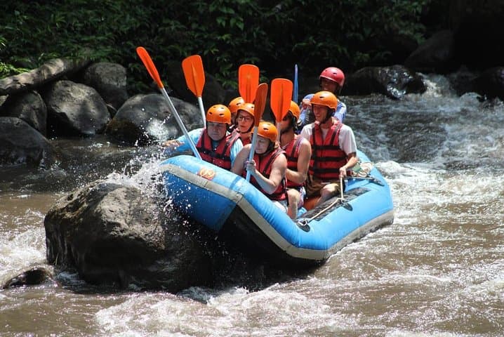Ayung River Rafting in Ubud: Two‑Hour Class II–III Adventure with Transfer photo 3
