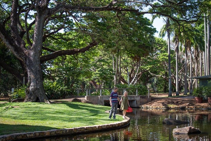 Darwin City Sights and Jumping Crocodile Cruise — Top End Day Tour photo 5