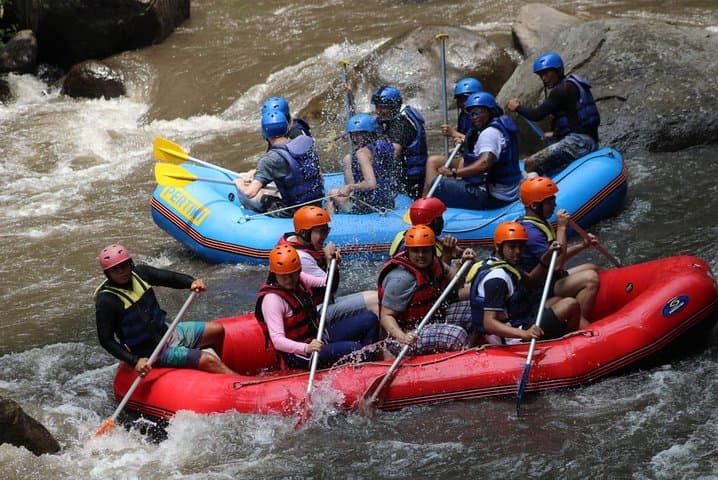Ayung River Rafting in Ubud: Two‑Hour Class II–III Adventure with Transfer photo 5