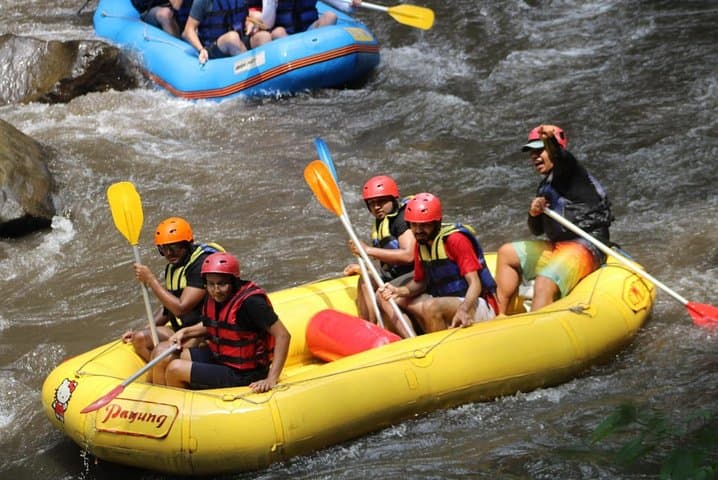 Ayung River Rafting in Ubud: Two‑Hour Class II–III Adventure with Transfer photo 6