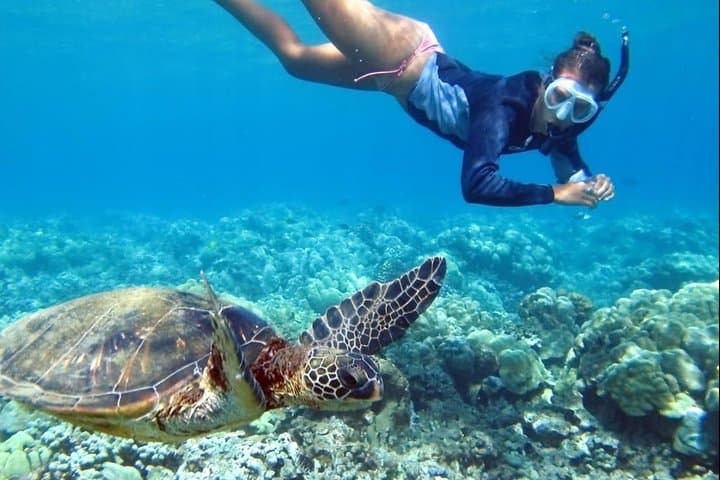 All-Inclusive Bali Snorkeling: Blue Lagoon, Tanjung Jepun & Bias Tugel