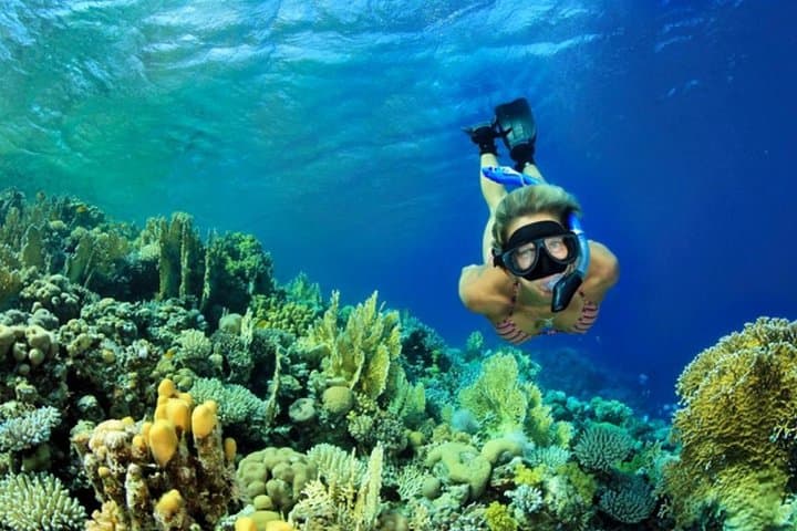 All-Inclusive Bali Snorkeling: Blue Lagoon, Tanjung Jepun & Bias Tugel photo 3