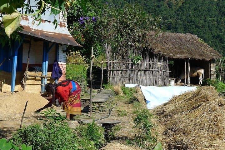 Dhampus to Sarangkot: 3-Day Short Hike from Pokhara photo 6