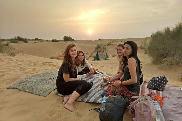 Wild Desert Overnight Safari: Jeep, Camel & Stars in the Thar photo 3