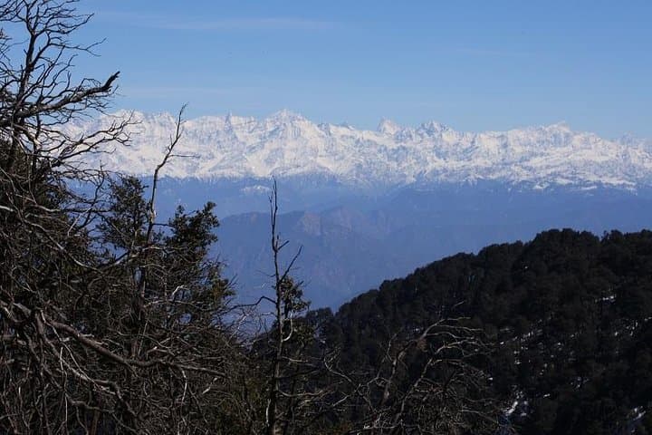 Naag Tibba Trek: 2-Day Beginner Himalayan Trek from Mussoorie photo 5