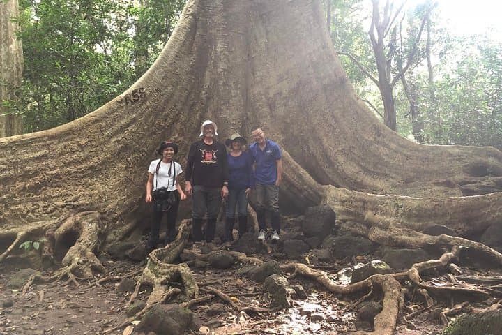 Private Nam Cat Tien National Park: 2-Day Wildlife & Wetland Escape from Ho Chi Minh City photo 3