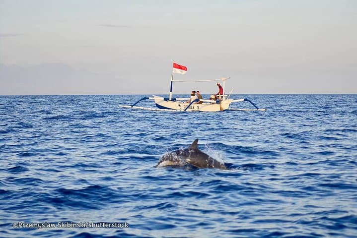North Bali dolphin-watching and waterfalls full-day tour from Lovina photo 4