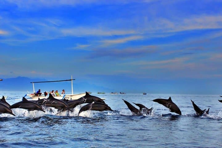 North Bali dolphin-watching and waterfalls full-day tour from Lovina photo 5