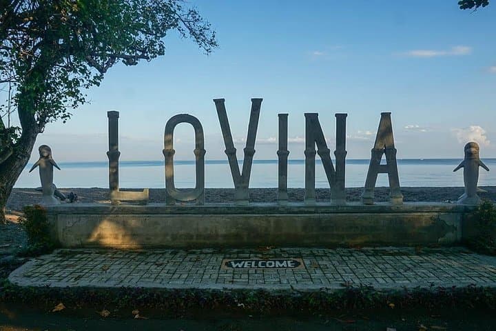 North Bali dolphin-watching and waterfalls full-day tour from Lovina photo 6