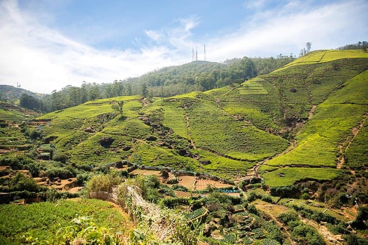Enchanting Sri Lanka Extended: 19-Day Private Tour from Negombo photo 6