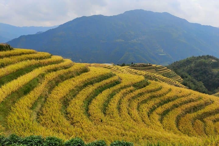 2-Day Private Longji Rice Terraces & Ziyuan Bajiaozhai Danxia Park Tour photo 3