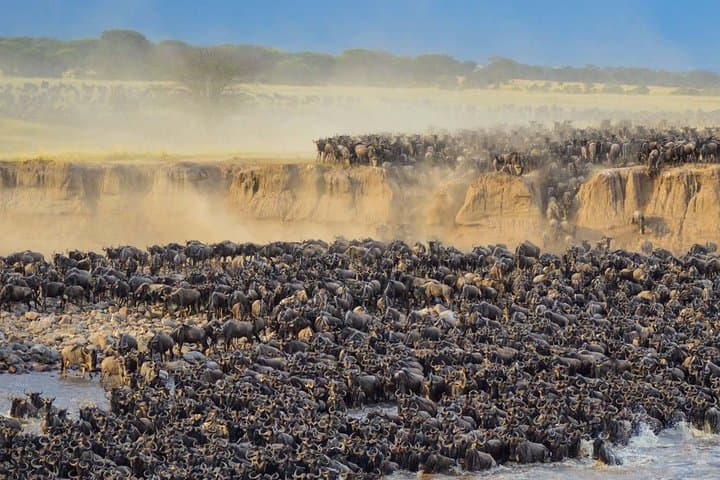 4-Day Tanzania Safari: Tarangire, Serengeti & Ngorongoro Adventure photo 6