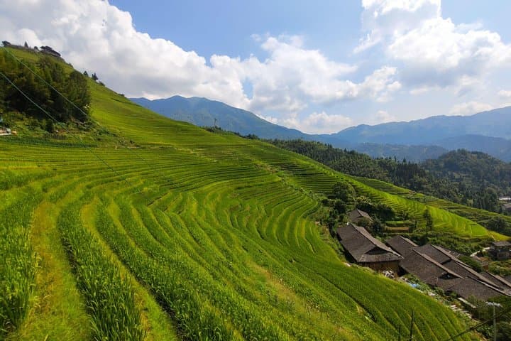 Longji (Dragon's Backbone) Rice Terraces Day Tour from Xingping — Ping'an & Huangluo Villages photo 5