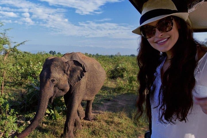 Udawalawe Safari Day Trip — Elephant Safari & Elephant Transit Home Transfer photo 5