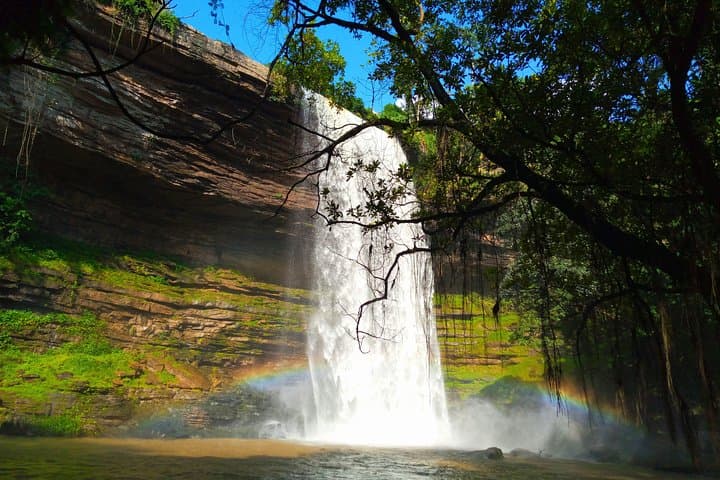 Boti Falls Day Tour: Waterfalls, Umbrella Rock & Three-Headed Palm