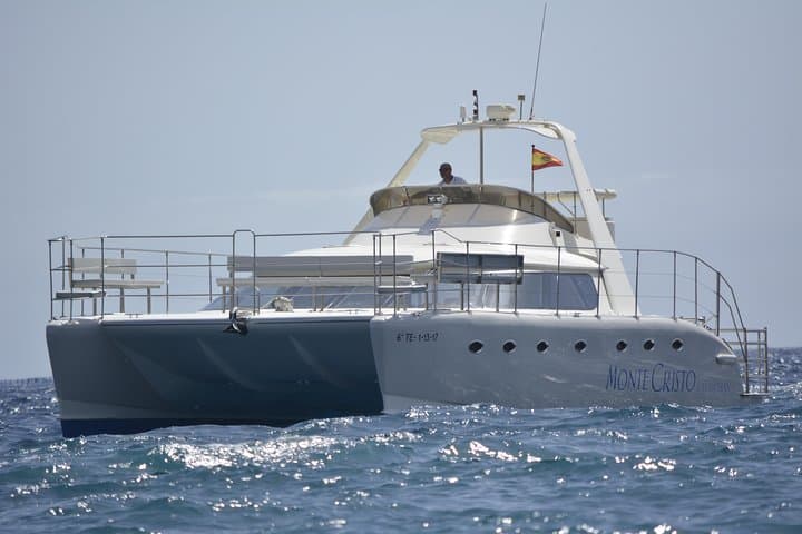 Tenerife Whale and Dolphin Catamaran Cruise from Costa Adeje photo 2