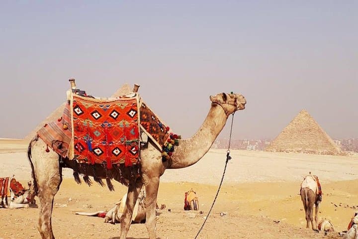 Giza Pyramid Camel Tour: Half-Day Private Camel Ride & Guided Visit photo 6