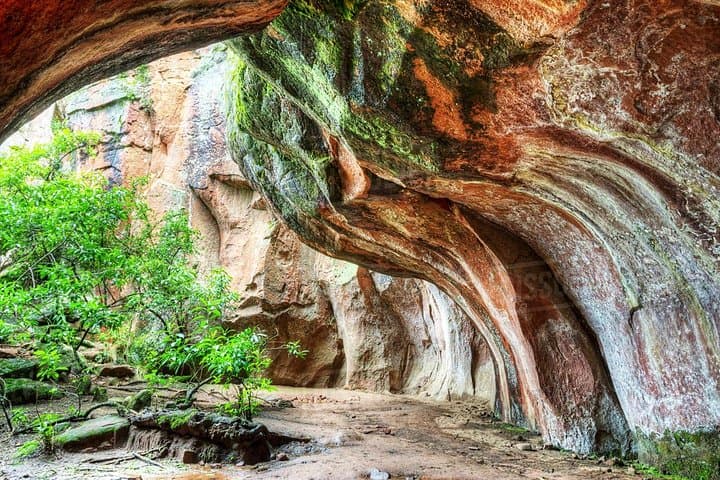 Exploring Toro Toro National Park: 4-Day Adventure Through Canyons, Caves & Dinosaur Tracks