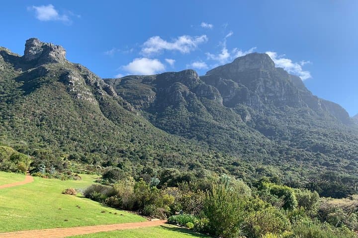 Full-Day Table Mountain, Kirstenbosch & Constantia Wine Tasting from Cape Town photo 6