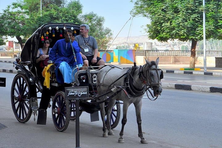Cairo Horse-Carriage & Walking Tour: Tahrir Square, Nile Corniche & Cairo Tower photo 4
