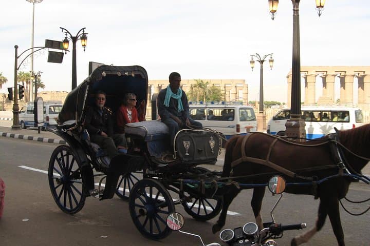 Cairo Horse-Carriage & Walking Tour: Tahrir Square, Nile Corniche & Cairo Tower photo 5