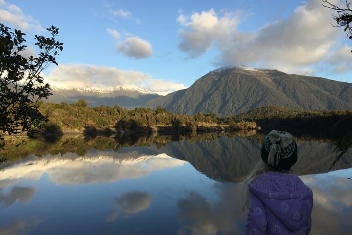 Waiatoto River Safari: Jet-Boat Into South Westland’s UNESCO Rainforest photo 2