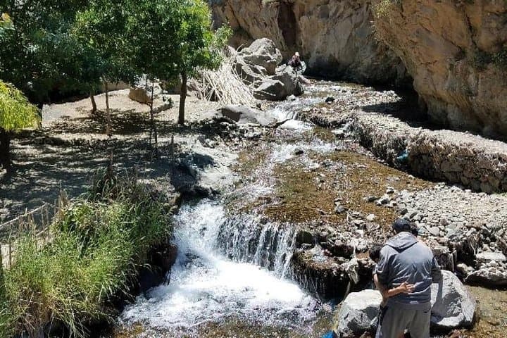 Ourika Valley Day Trip — Atlas Mountains Waterfalls & Berber Villages from Marrakech photo 2