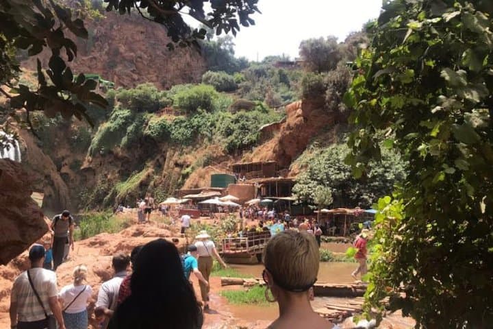 Ouzoud Falls Day Trip from Marrakech — 110m Waterfalls, Monkeys & Olive Valleys photo 6