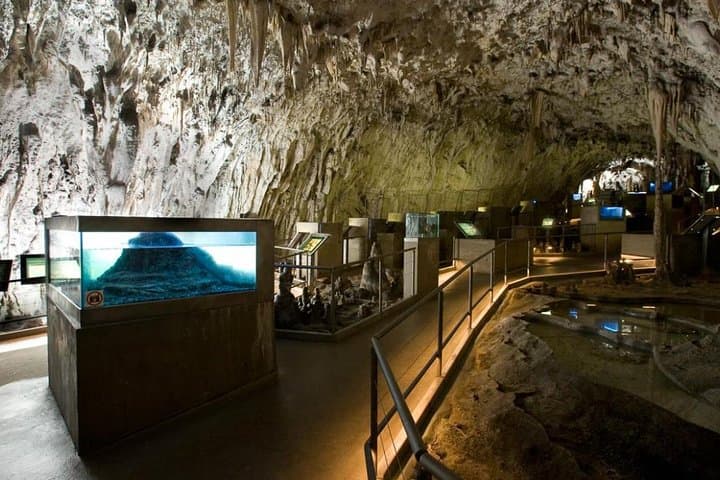 Explore Postojna Cave & Predjama Castle: Small-Group Day Trip from Trieste photo 5