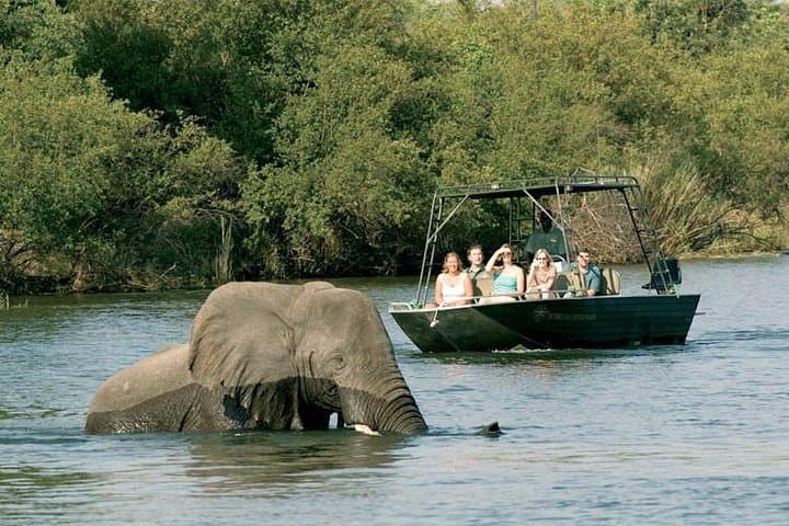 Upper Zambezi River Safari — Livingstone Wildlife Cruise & Rapids Excursion