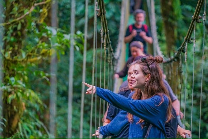 Rainforest Hanging Bridges & Sloth Sanctuary Tour from Liberia