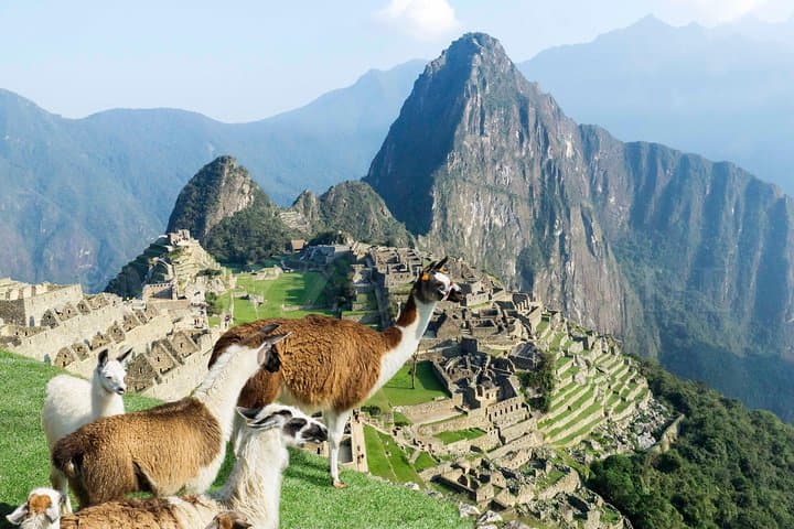 Short Inca Trail to Machu Picchu: 2-Day Private Trek from Km 104 photo 5