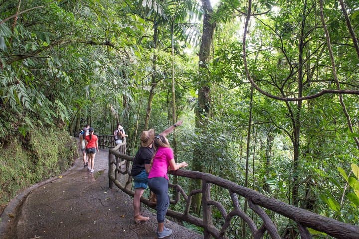 Mistico Hanging Bridges: Arenal Rainforest Canopy Walk in La Fortuna photo 3