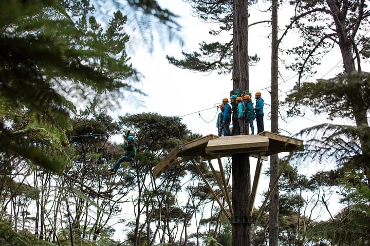 Coromandel Zipline: Driving Creek Canopy Tour over Native Forest photo 2