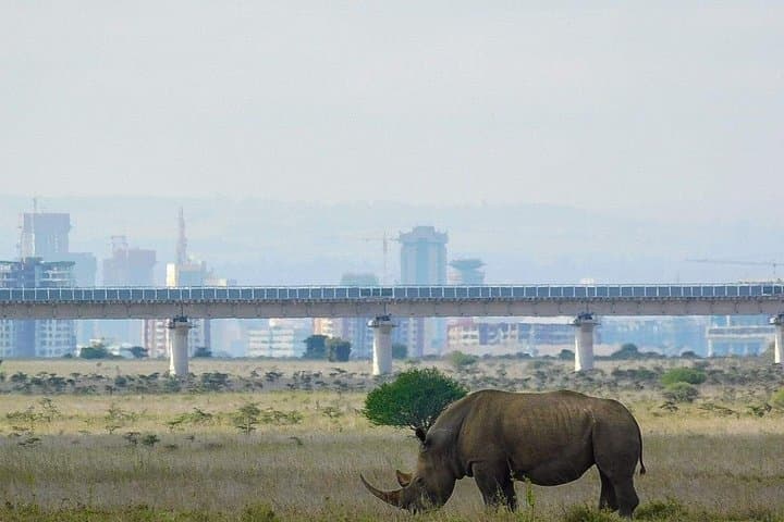Nairobi National Park Half-Day Game Drive: Urban Safari with Wildlife Views photo 4