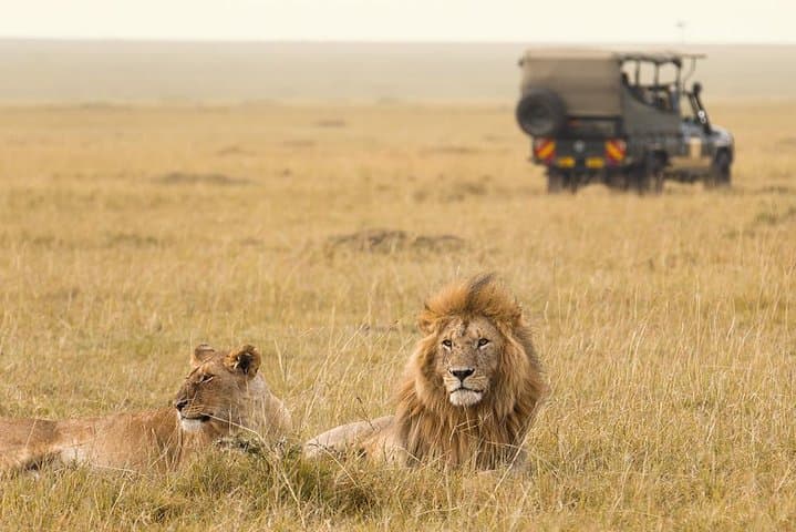 Explore Kenya’s Iconic National Parks: 8-Day Luxury Jeep Safari Adventure photo 2