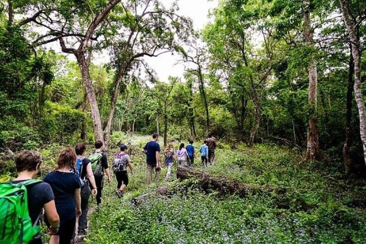 Chitwan Jungle Safari: 2-Night, 3-Day All-Inclusive Wildlife Package from Kathmandu photo 6