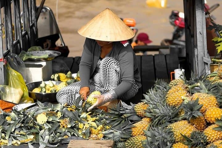 Private Mekong Delta 2-Day Immersive Tour from Ho Chi Minh City photo 3