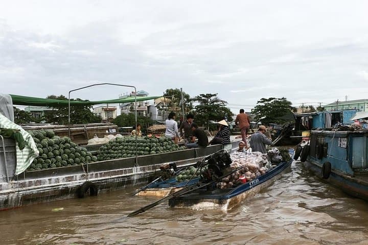 Private Mekong Delta 3-Day Journey: My Tho to Can Tho and Chau Doc photo 6