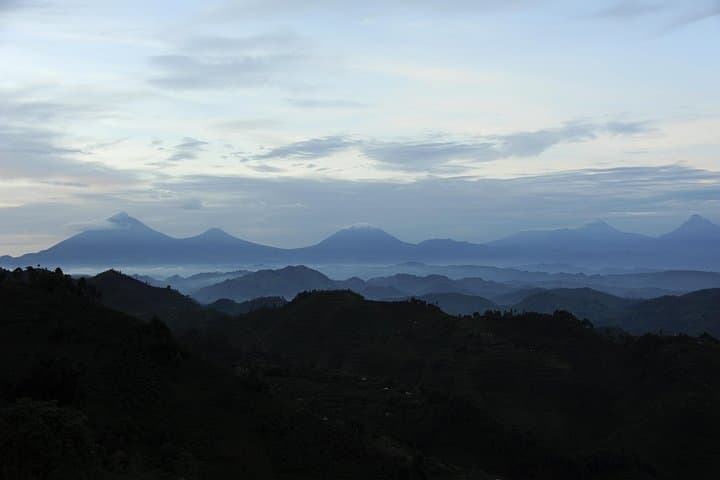 6-Day Uganda Gorilla Adventure: Bwindi Gorilla Trekking & Lake Mutanda Canoe photo 6