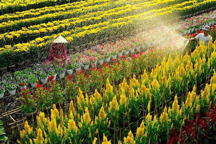 Private Mekong Delta: 2-Day Saigon to Can Tho Overnight Tour