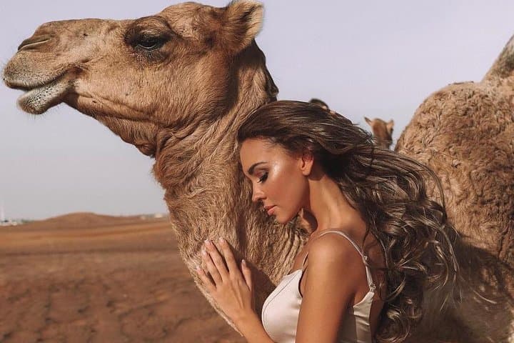 Sunset Dune Bashing and Desert Camp Experience in Dubai photo 3