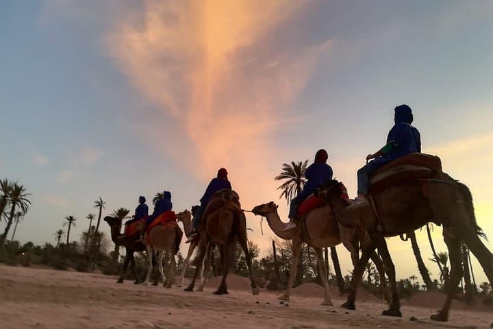 Marrakech Sunset Camel Ride in the Palmeraie: Palm Grove Camel Trek & Berber Tea photo 1