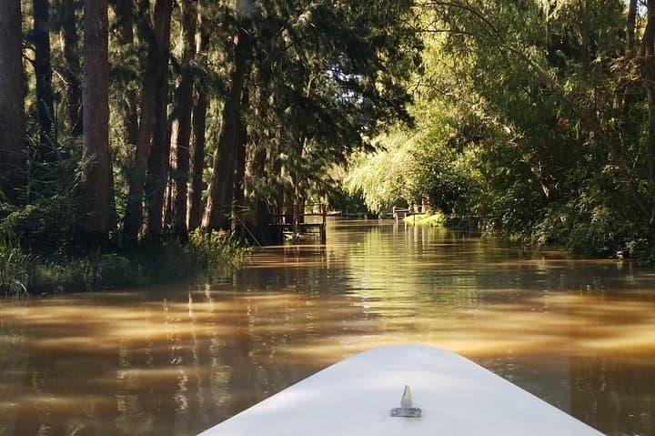 Tigre Delta & San Isidro Day Trip: Colonial Streets and River Canals by Boat photo 5