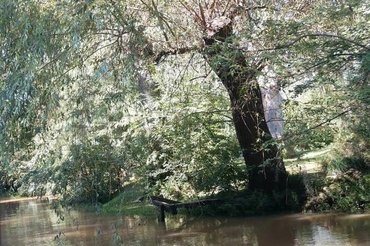 Tigre Delta & San Isidro Day Trip: Colonial Streets and River Canals by Boat photo 6