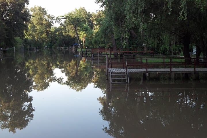 Private Tigre Delta Boat Tour from Buenos Aires — Puerto de Frutos & Quiet Channels photo 3