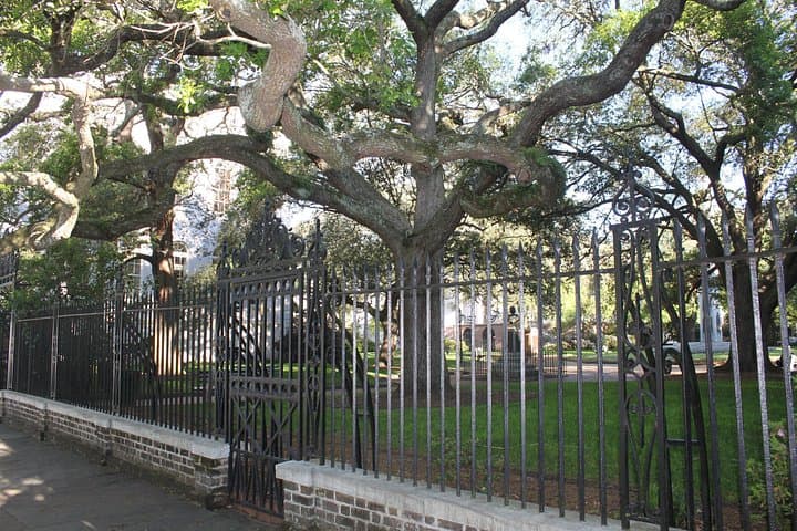 Charleston City Bus Tour + Charleston Museum Admission: 2-Hour Historic Overview photo 5