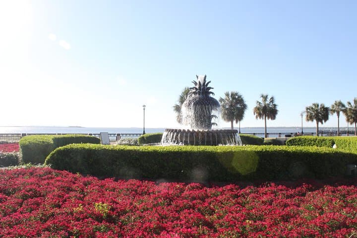 90-Minute Charleston Historic City Sightseeing Bus Tour photo 3